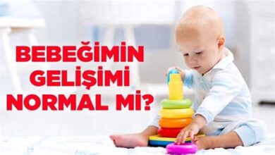 Bebeklerde Gelişimsel Aşamalar